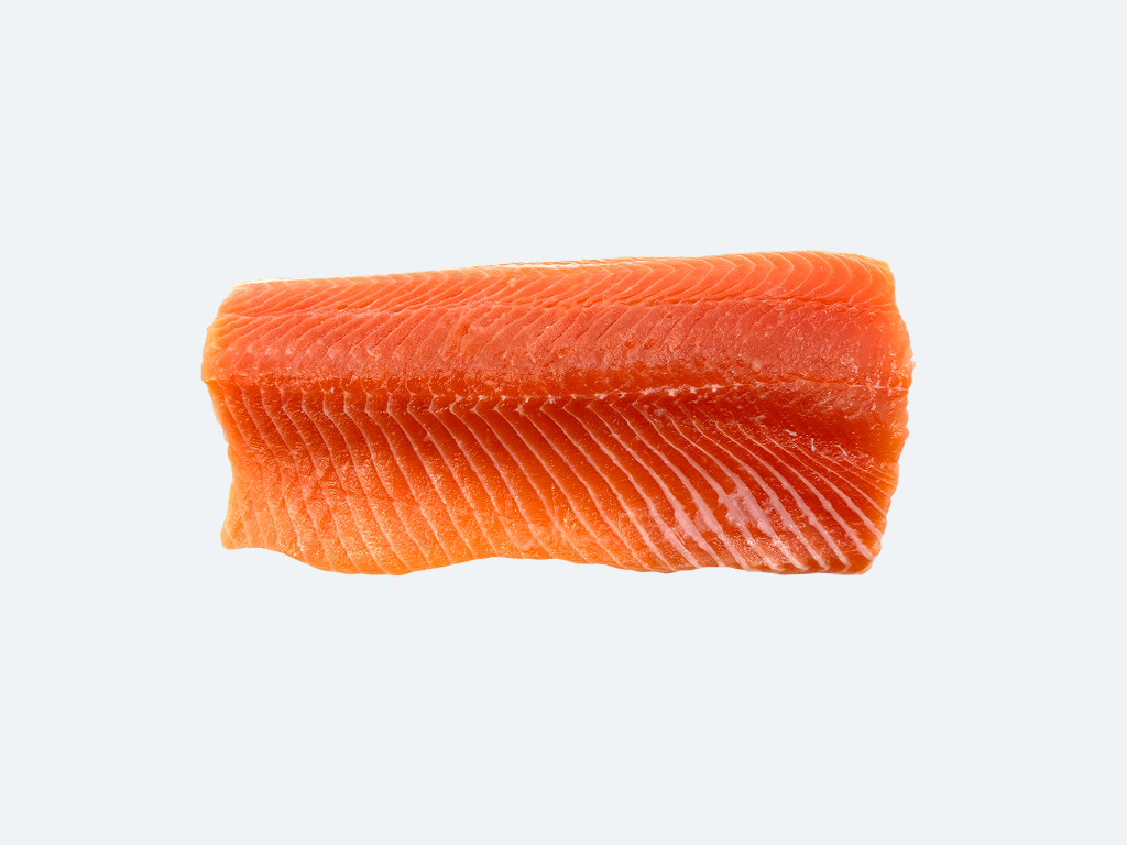 Biwa Masu (Landlock Trout)