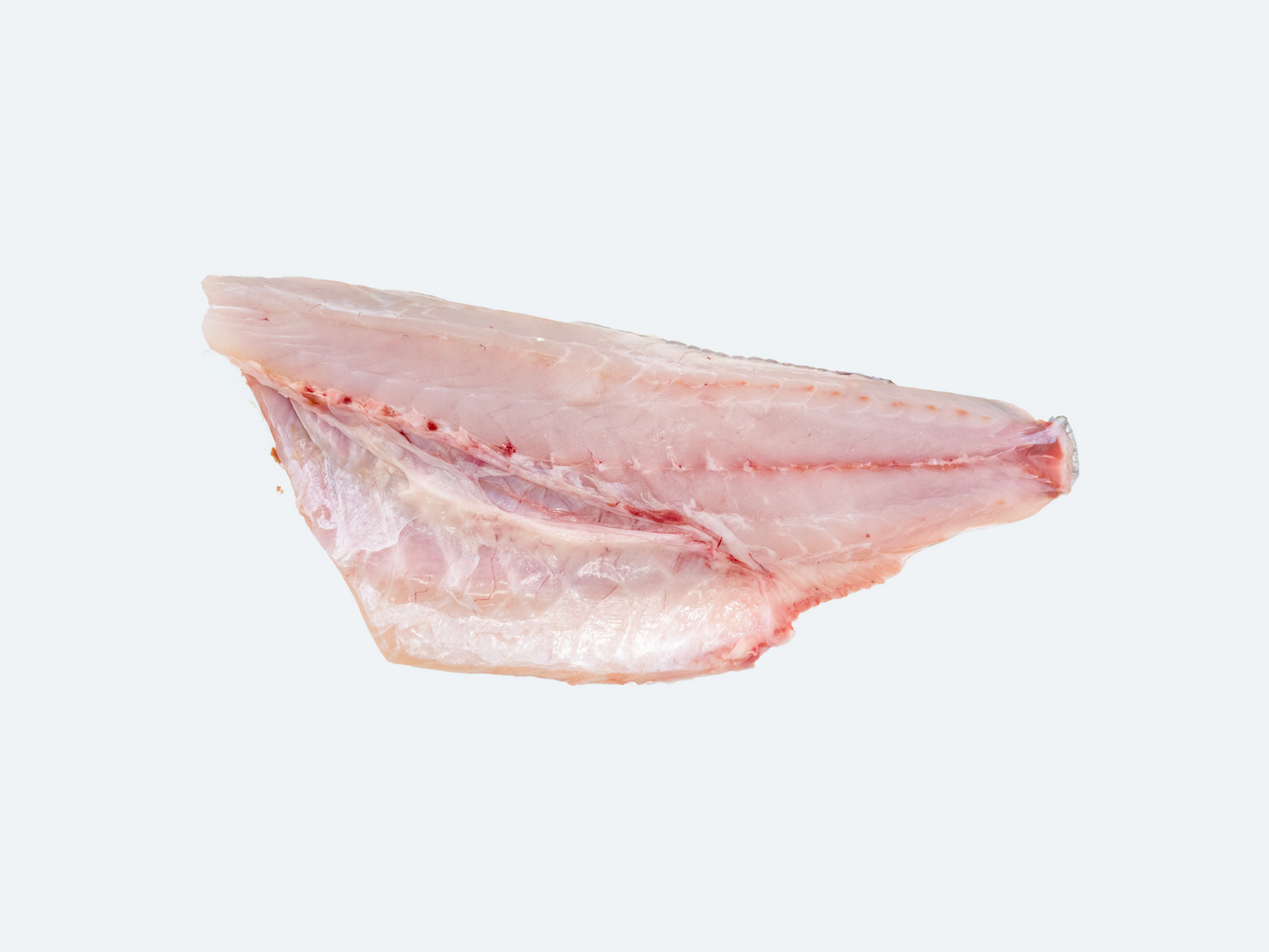 Striped Bass (Whole Fish)