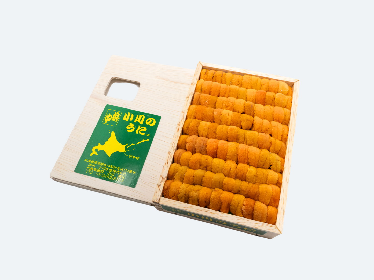 A Hokkaido Uni (Jou)