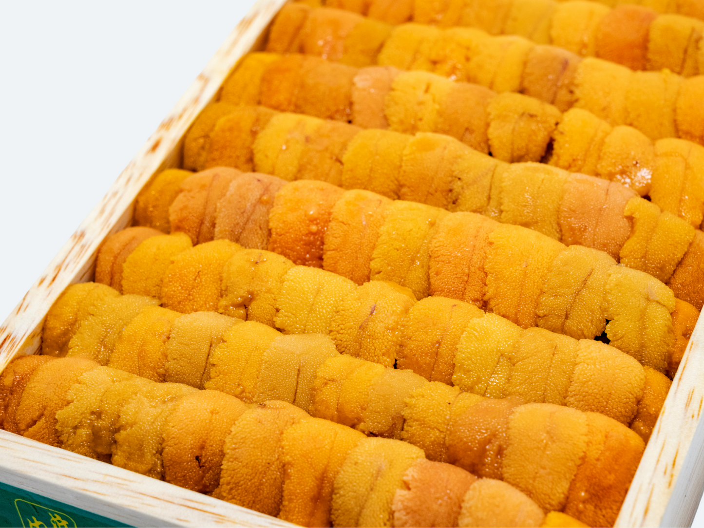 A Hokkaido Uni (Jou)