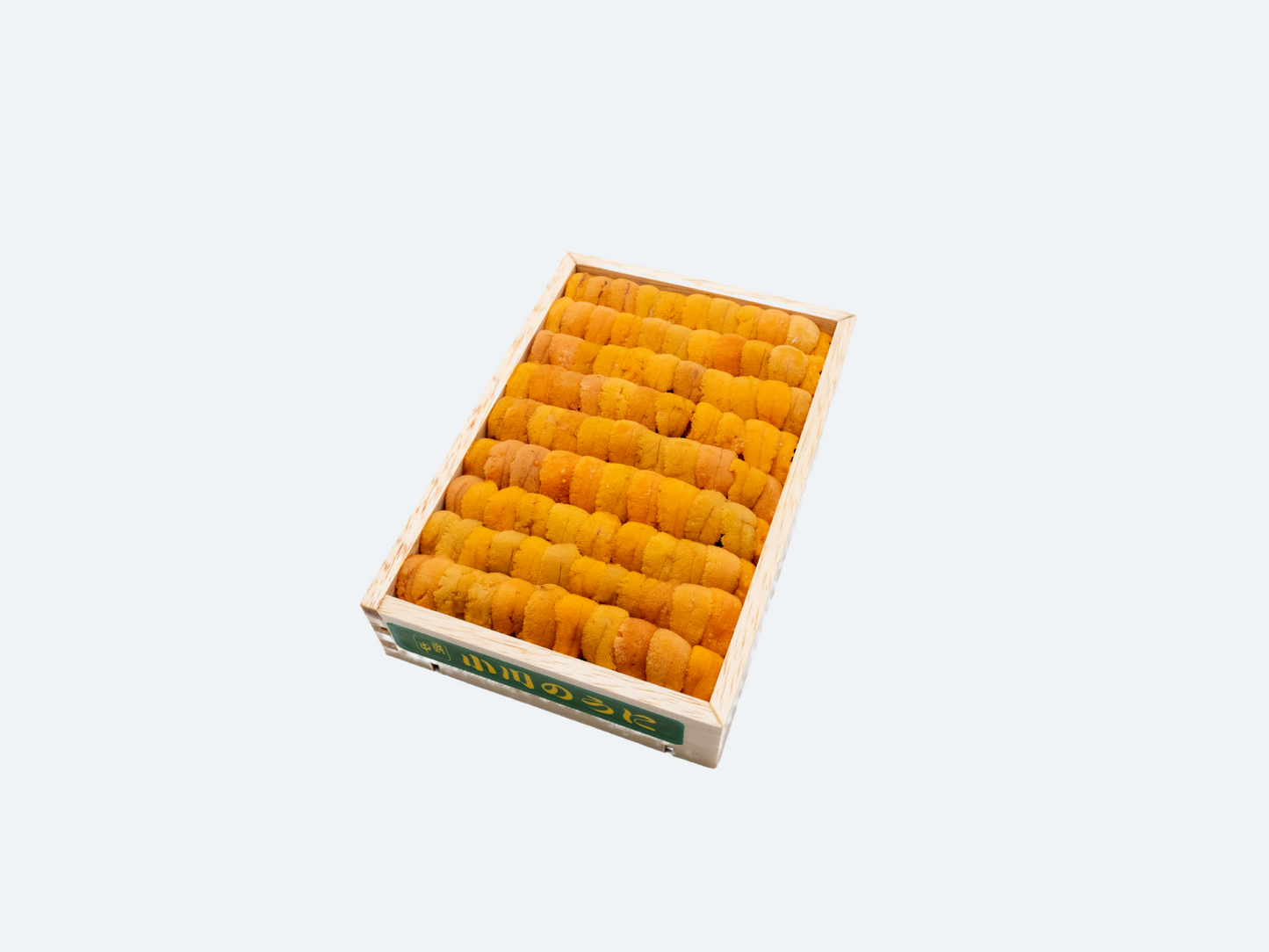 A Hokkaido Uni (Jou)