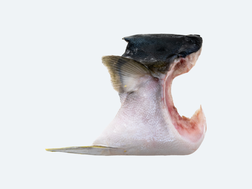 Hiramasa Kama