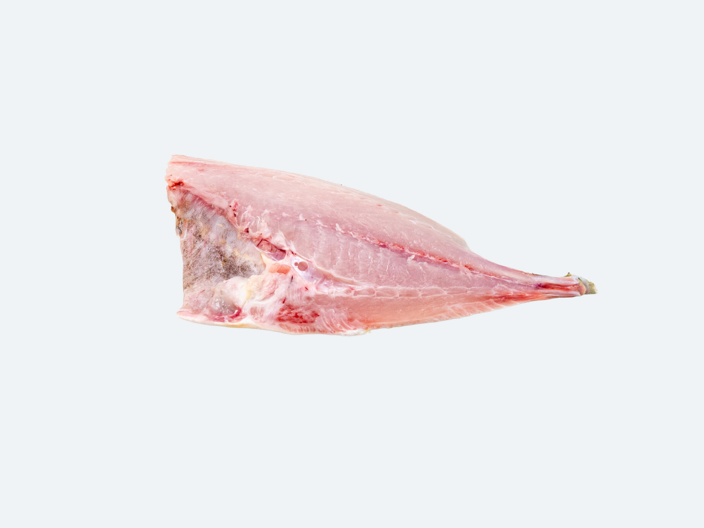 Japanese Shimaaji (Striped Jack)