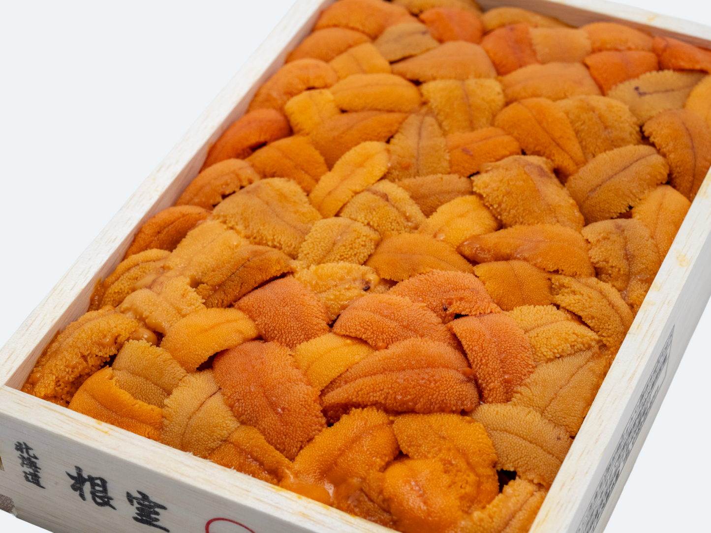 Hokkaido Uni (Bara)
