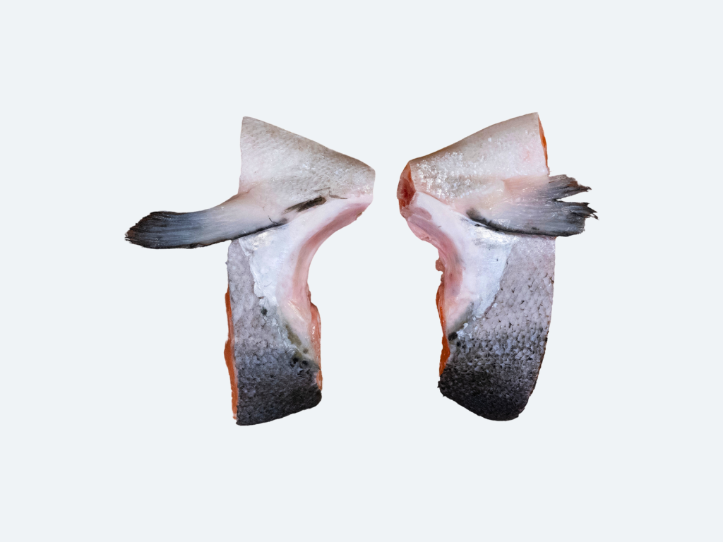 Salmon Kama (Collar)