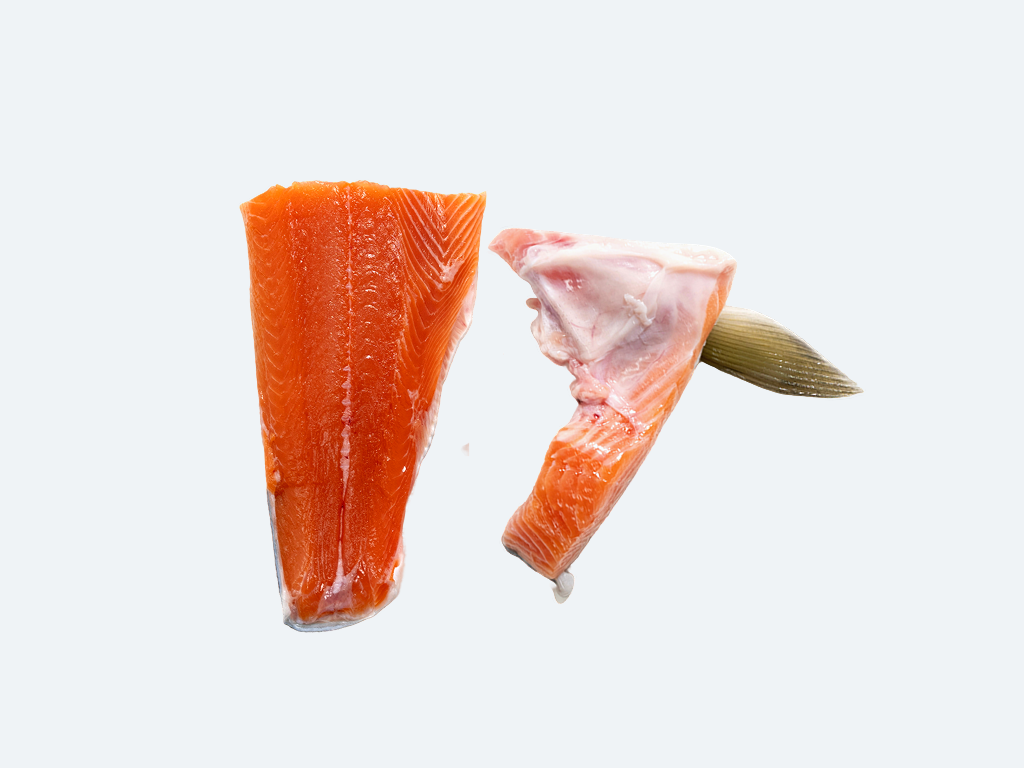 Biwa Masu (Landlock Trout)