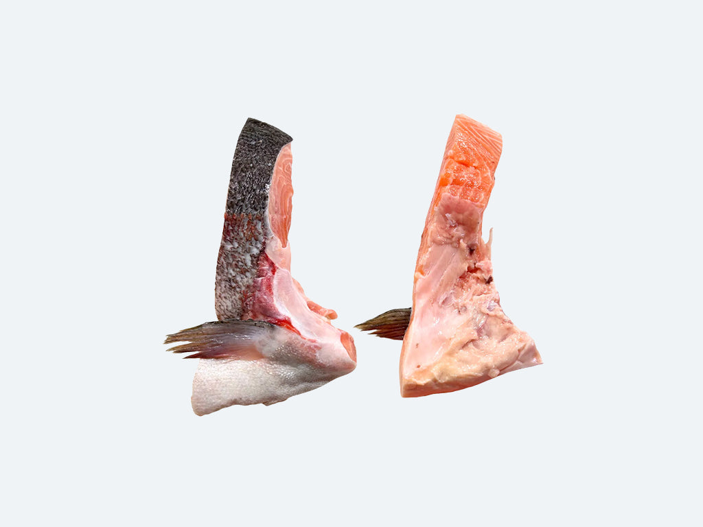 Tasmanian Ocean Trout