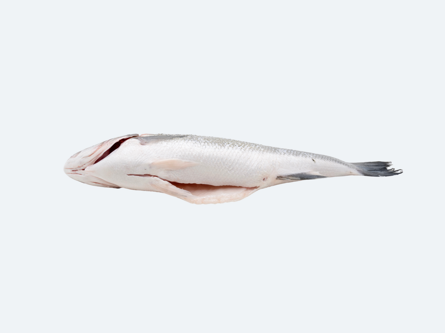 Branzino (Whole Fish)