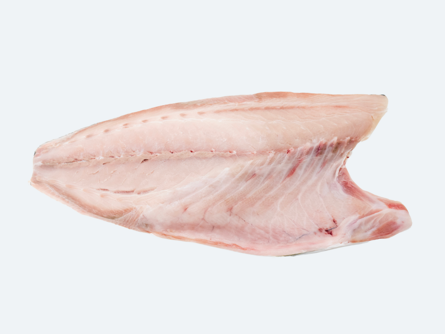 Japanese Hamachi (Yellowtail) Fillet
