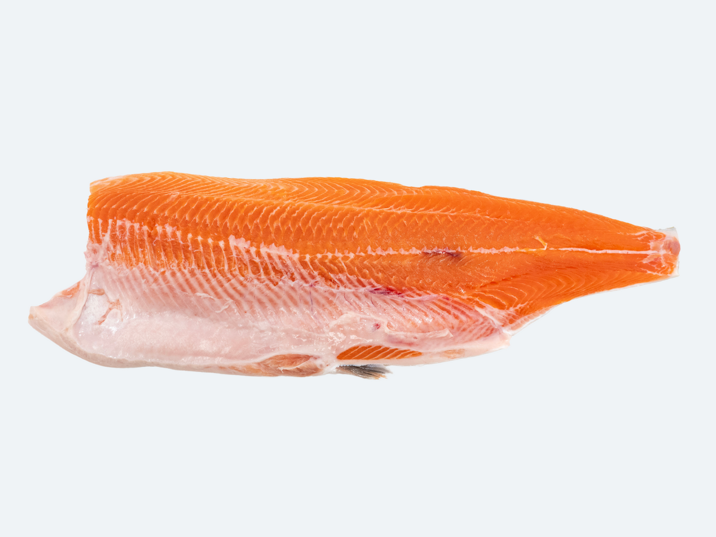Arctic Char (Whole Fish)