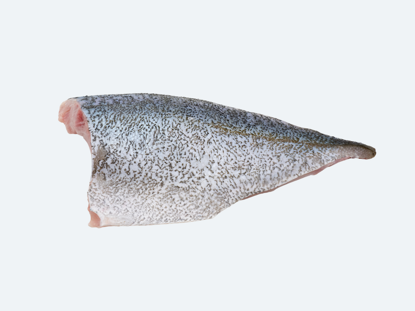 Hawaiian Kanpachi Fillet