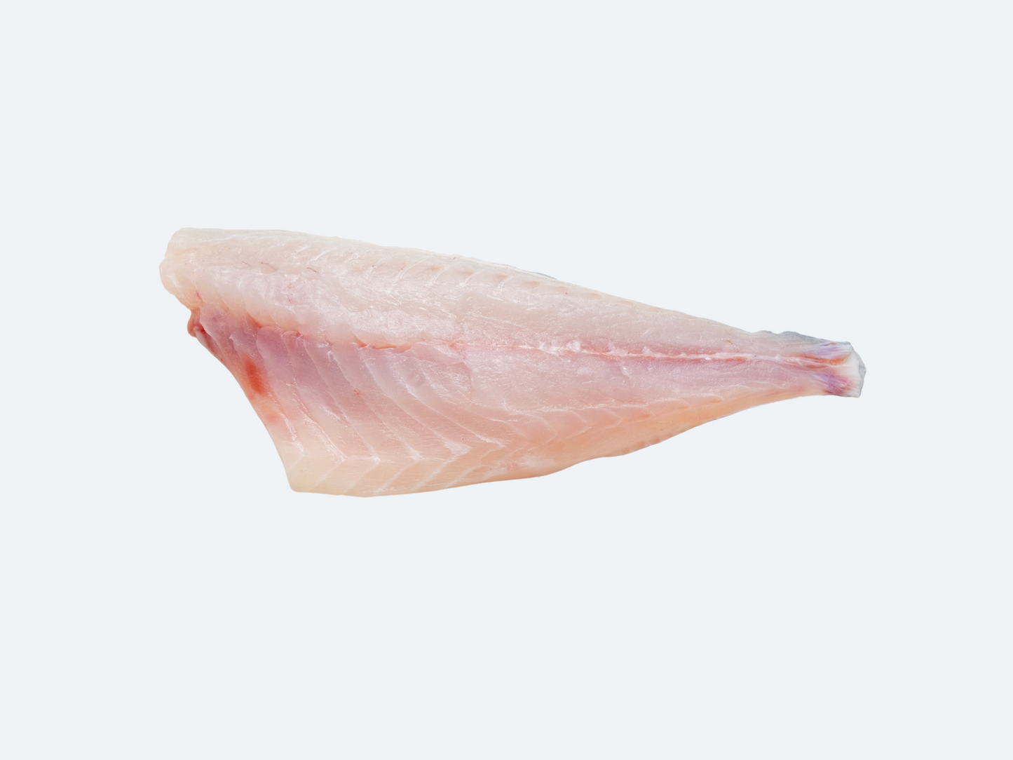 Frozen Greek Orata