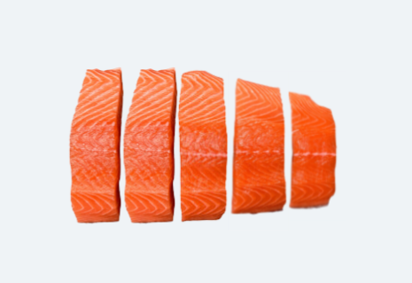 Salmon Portion 5 Pack