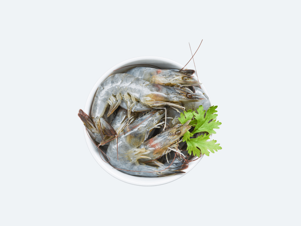 Farmed White Shrimp