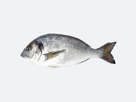 Greek Orata (Whole Fish)