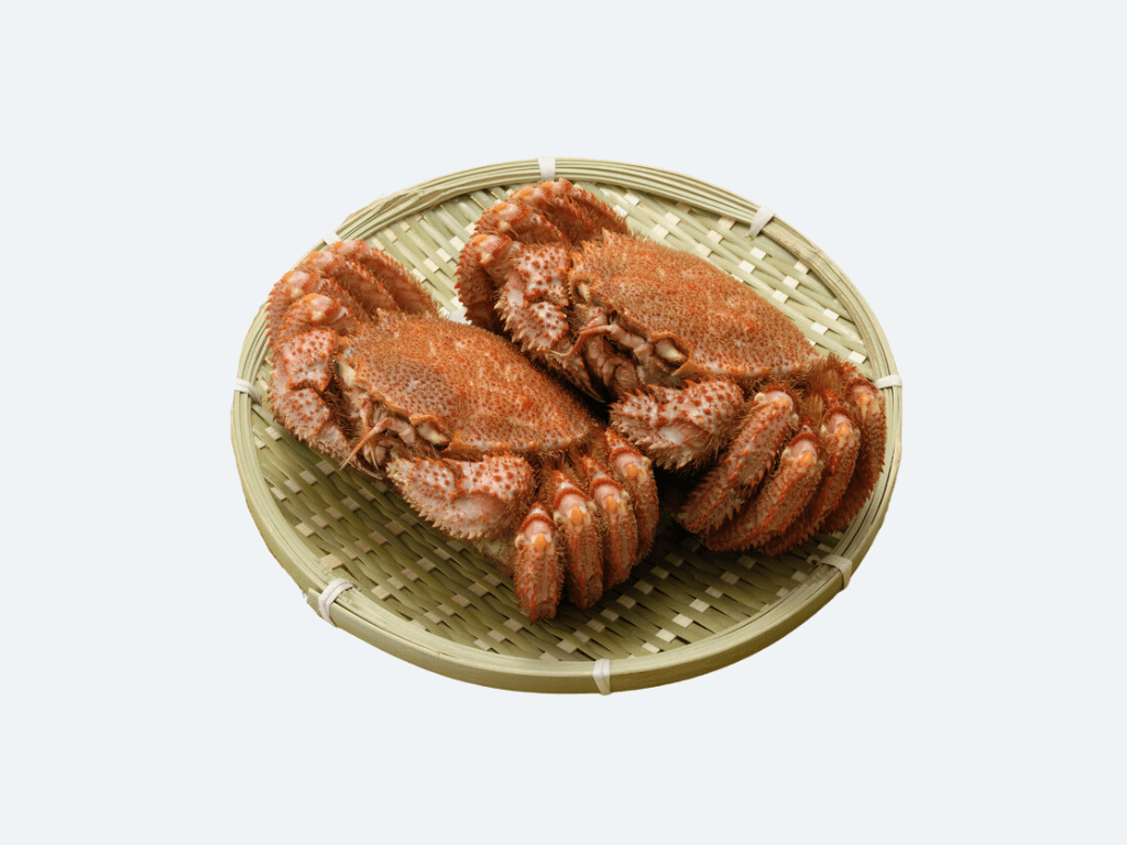 Live Kegani (Hairy Crab)