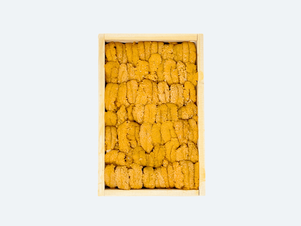 Maine Uni