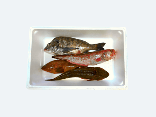 Omakase Toyosu Fish Box