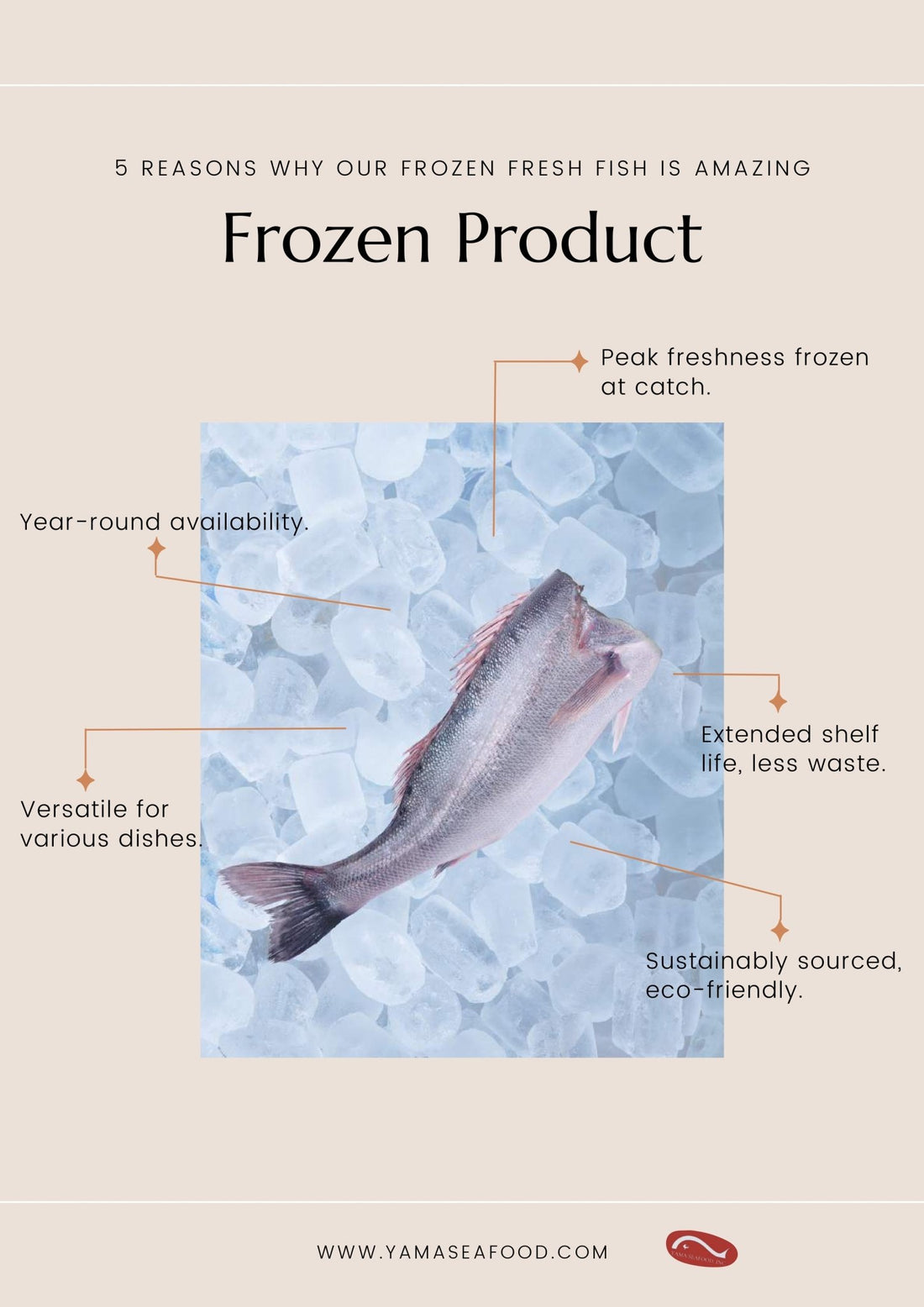 5 Reasons Why Our Frozen Fresh Fish Is Amazing