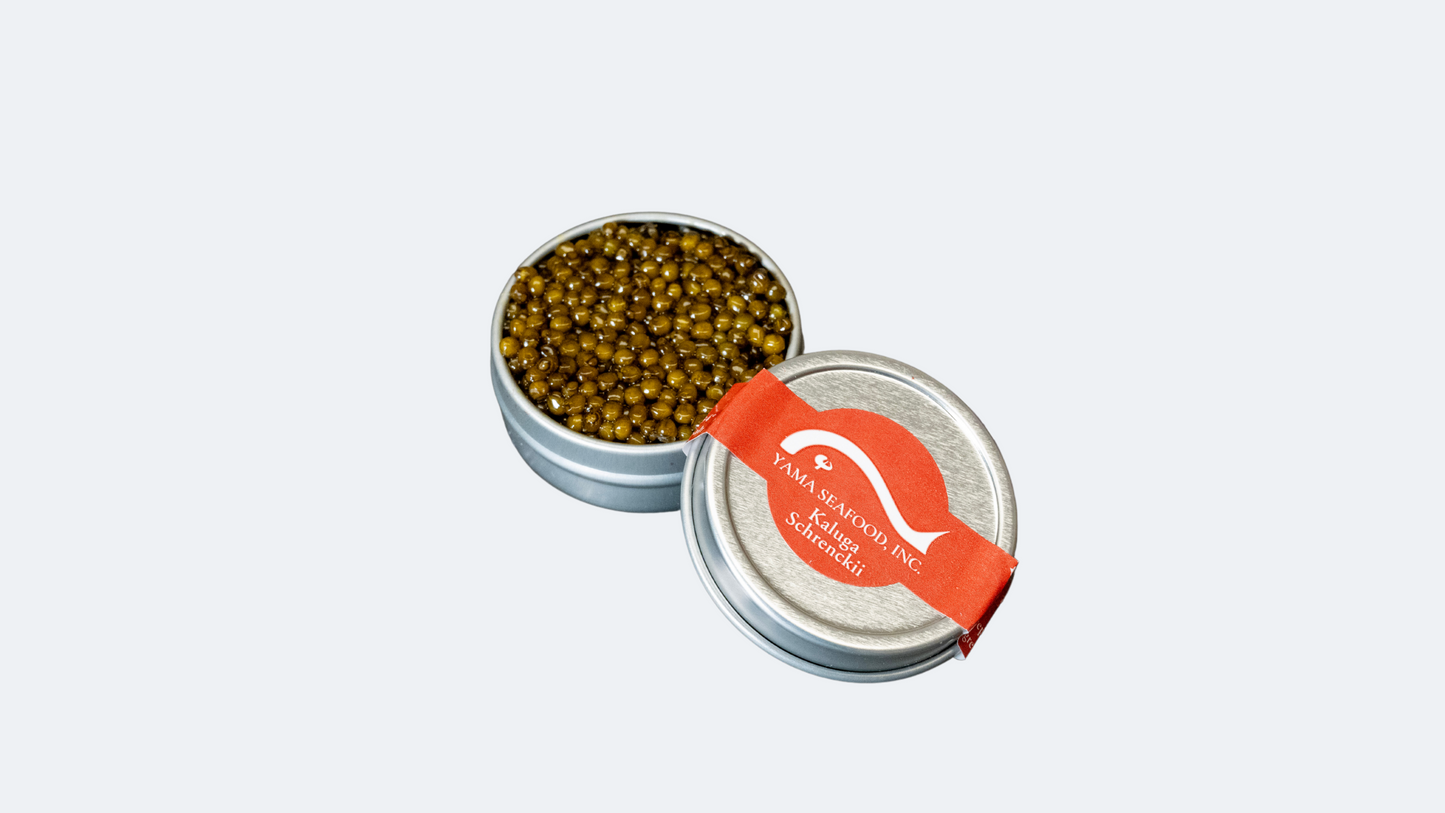 Kaluga Caviar