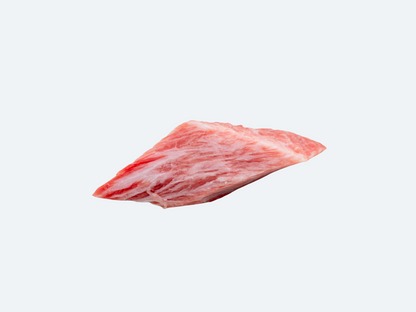 Wild Japan Premium Auction Tuna