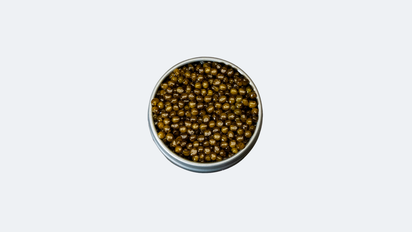 Kaluga Caviar