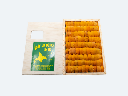 A tray of fresh Hokkaido uni (sea urchin) arranged neatly in a box.