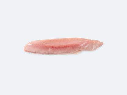 Albacore Loin