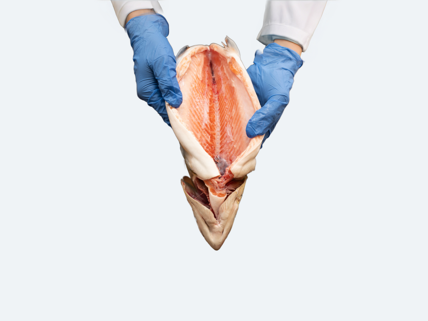 Arctic Char (Whole Fish)