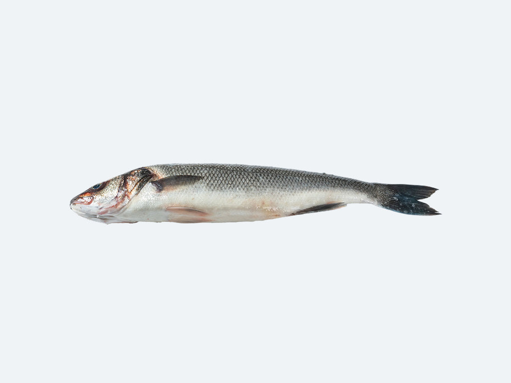 Branzino (Whole Fish)