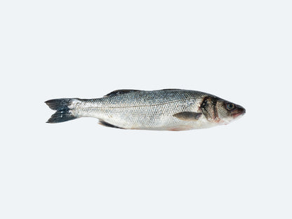 Branzino (Whole Fish)