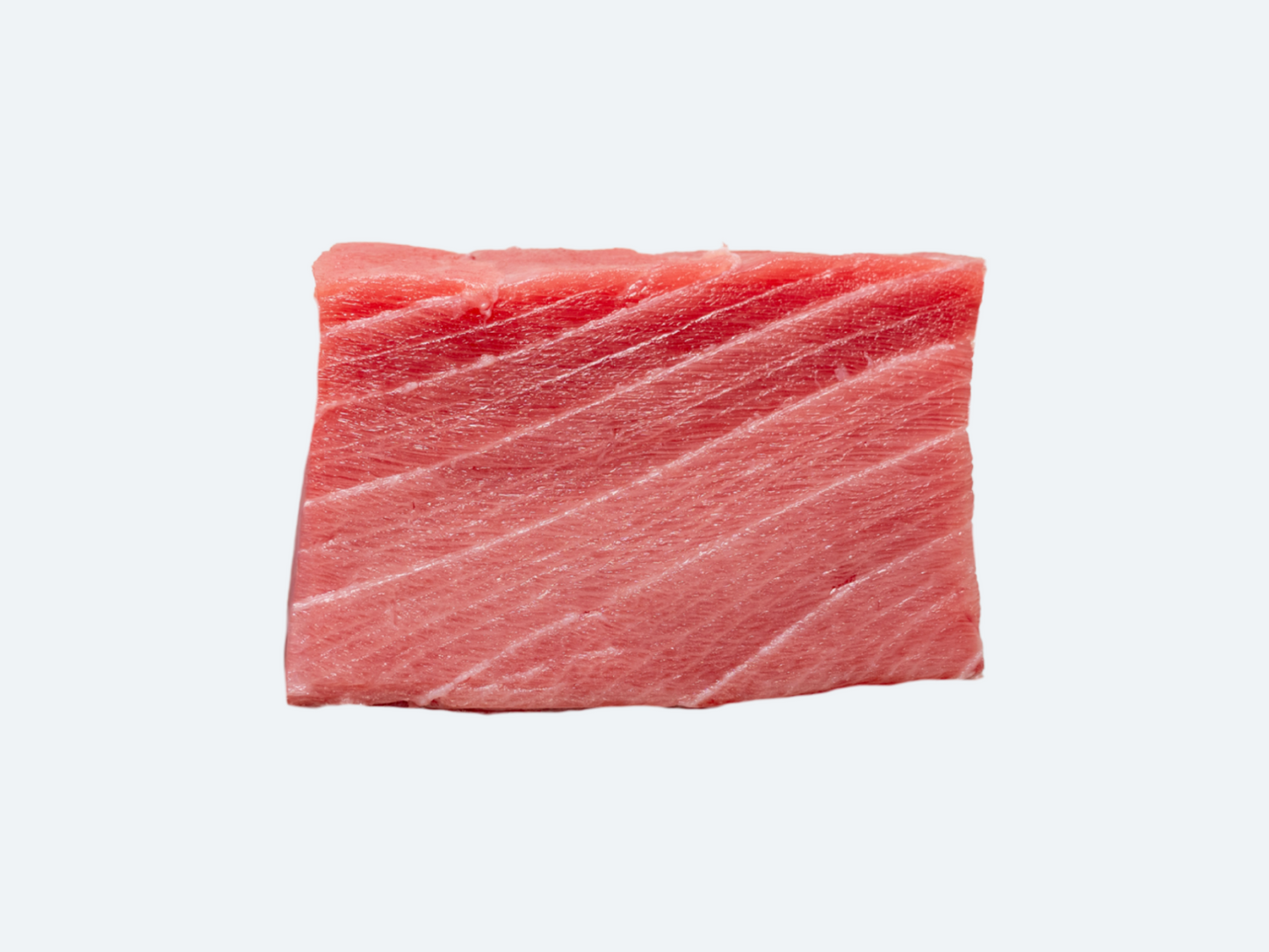 Wild Tuna Chu toro