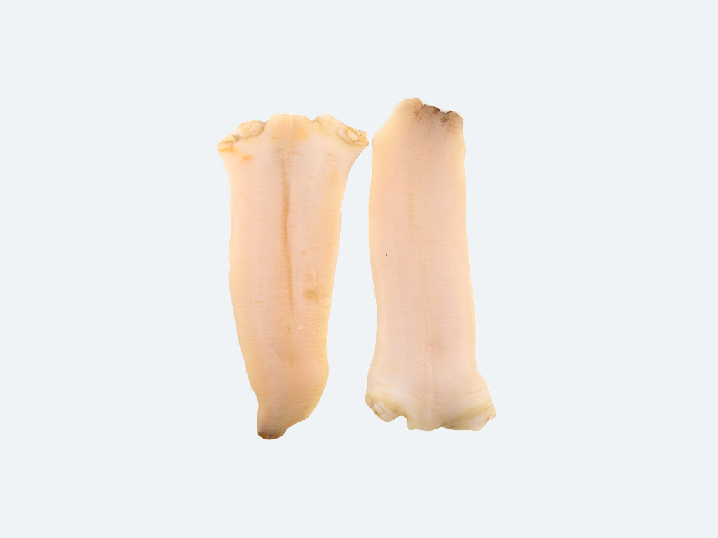 Frozen Mirugai (Geoduck)