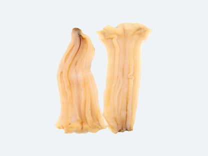 Frozen Mirugai (Geoduck)