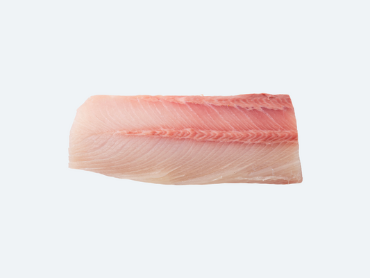A single piece of fresh yellowtail amberjack, also known as Hiramasa