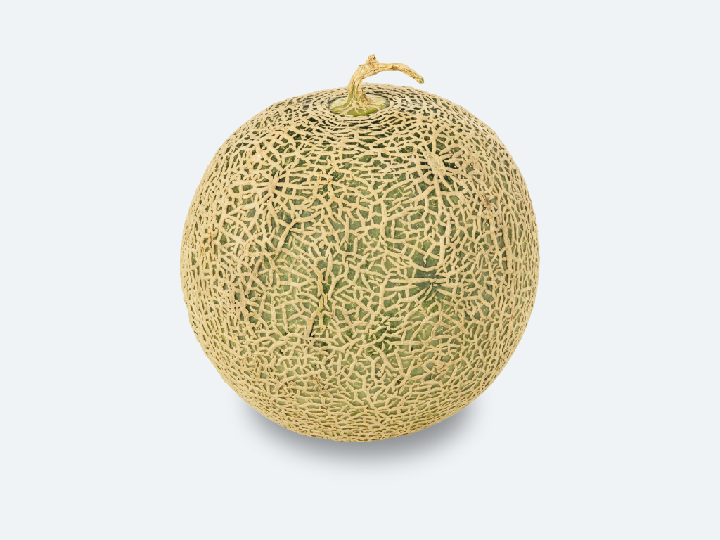 Japanese Crown Melon