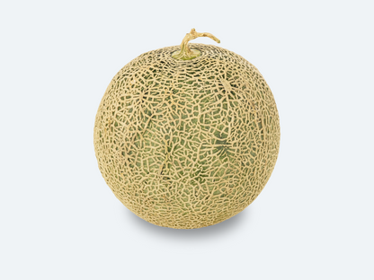 Japanese Crown Melon