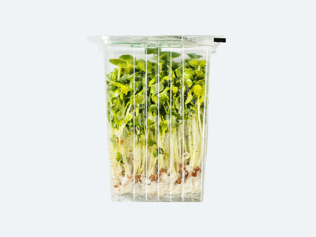 Kaiware Sprouts