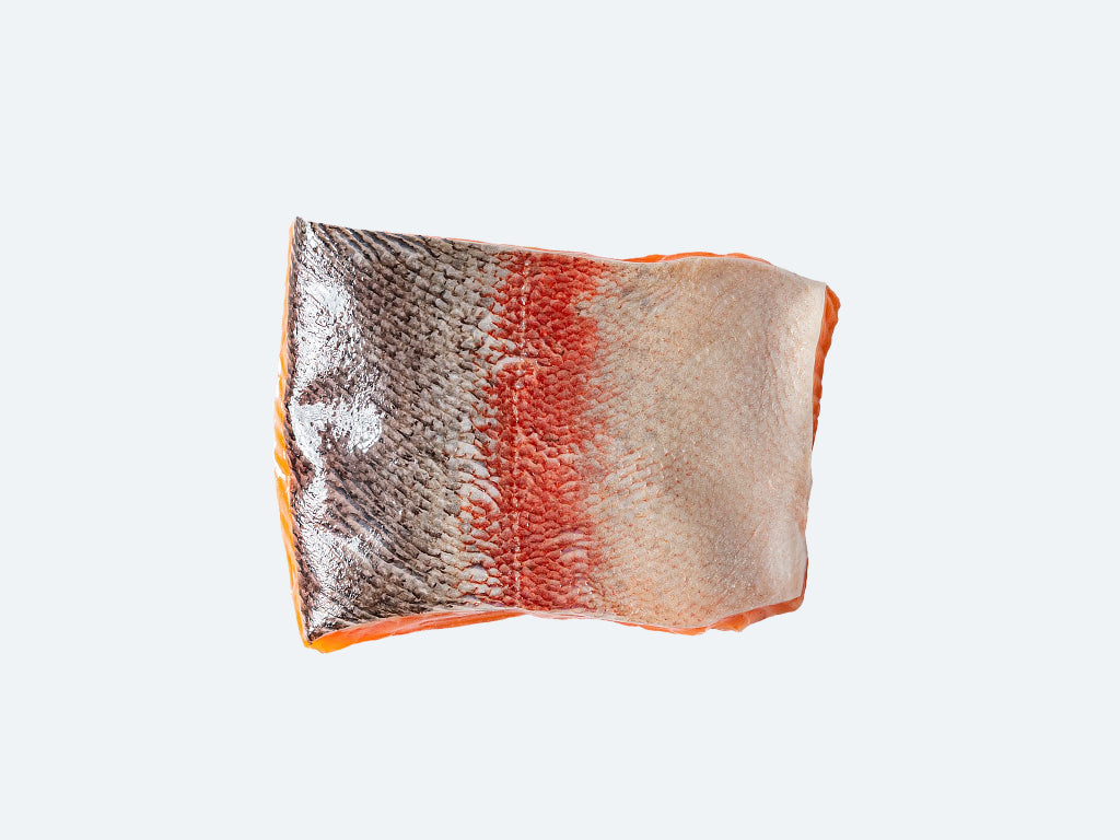 Taisetsu Salmon