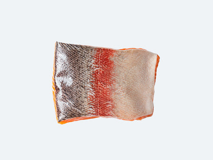 Taisetsu Salmon