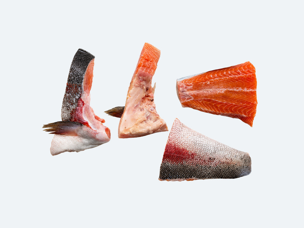 Taisetsu Salmon