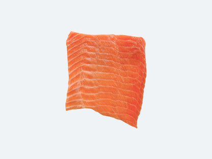 Tasmanian Ocean Trout
