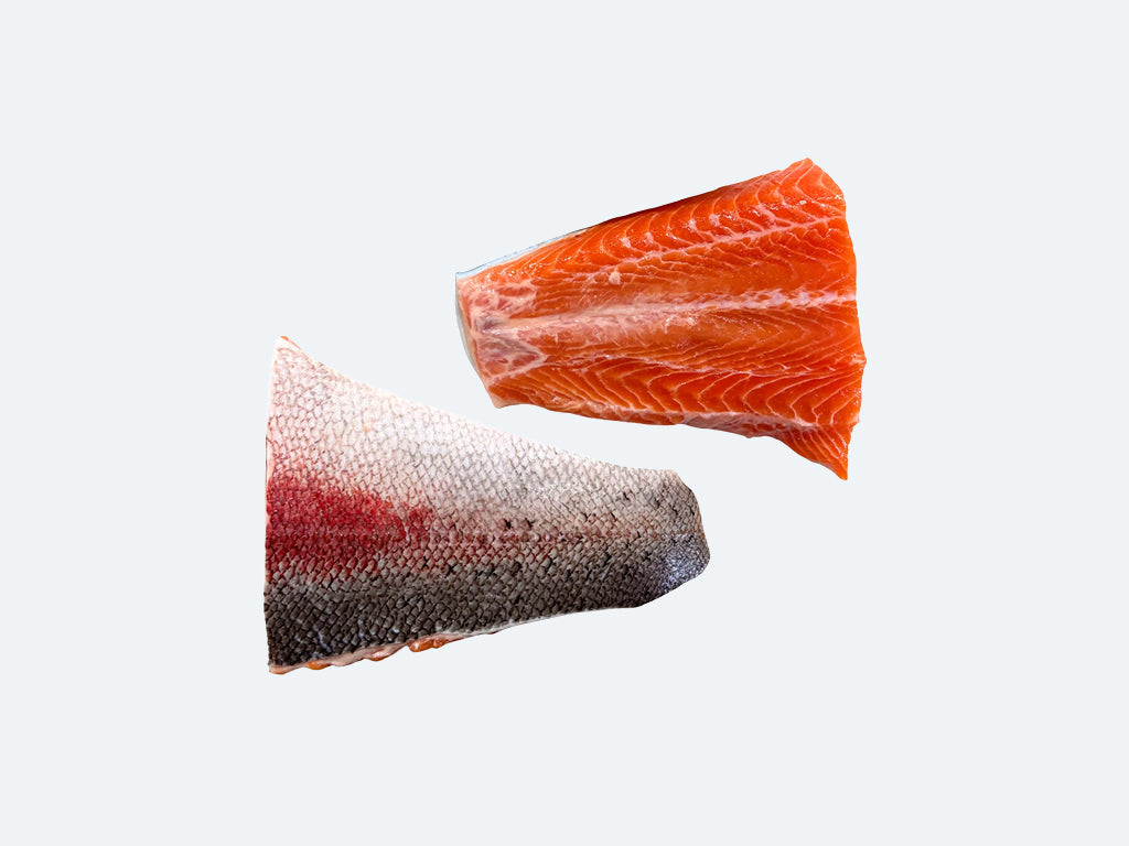 Tasmanian Ocean Trout