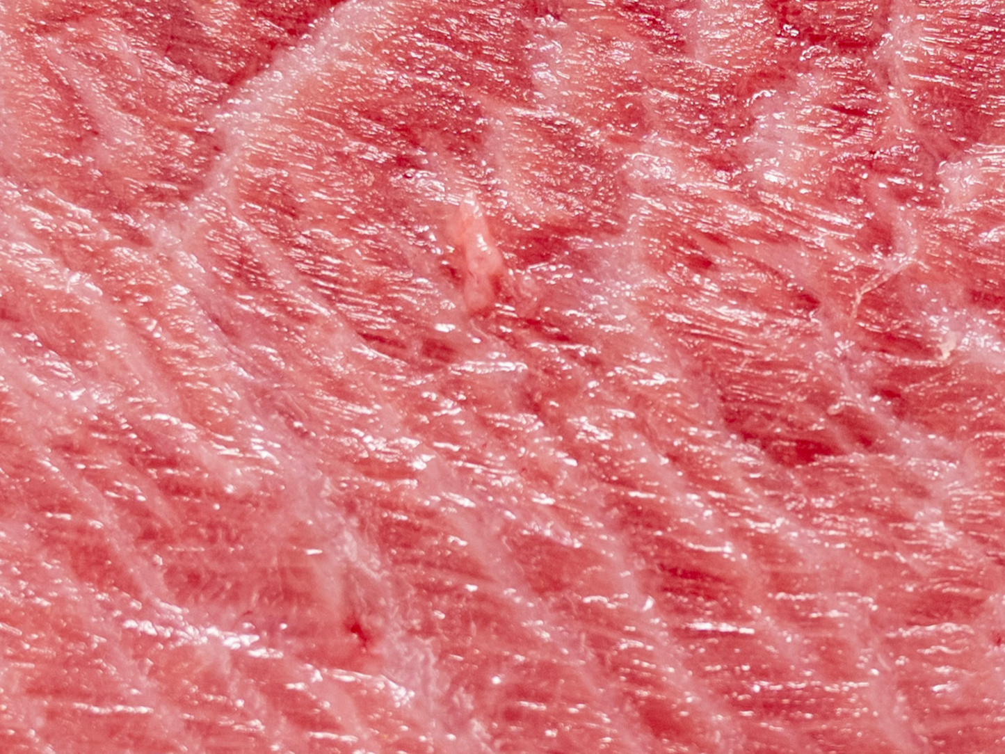 Bluefin Tuna O-Toro