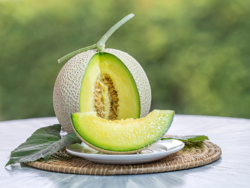 Japanese Crown Melon