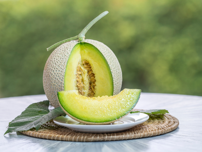 Japanese Crown Melon