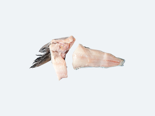 Wild Black Cod Collar and Tail