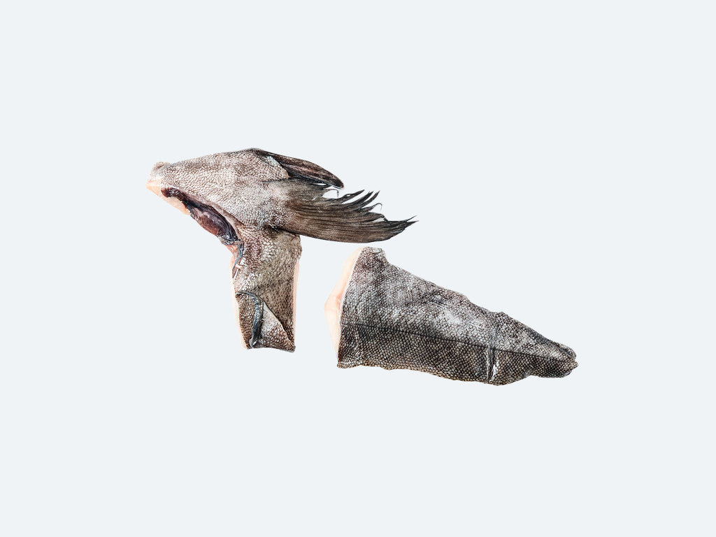 Wild Black Cod Collar and Tail