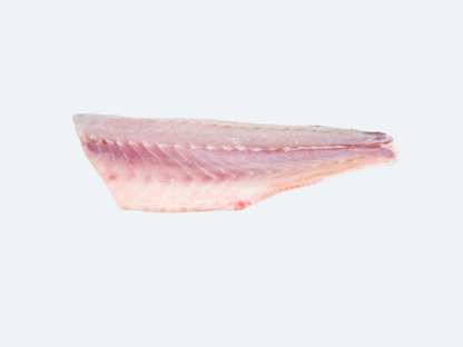 Bronzino (Whole Fish)