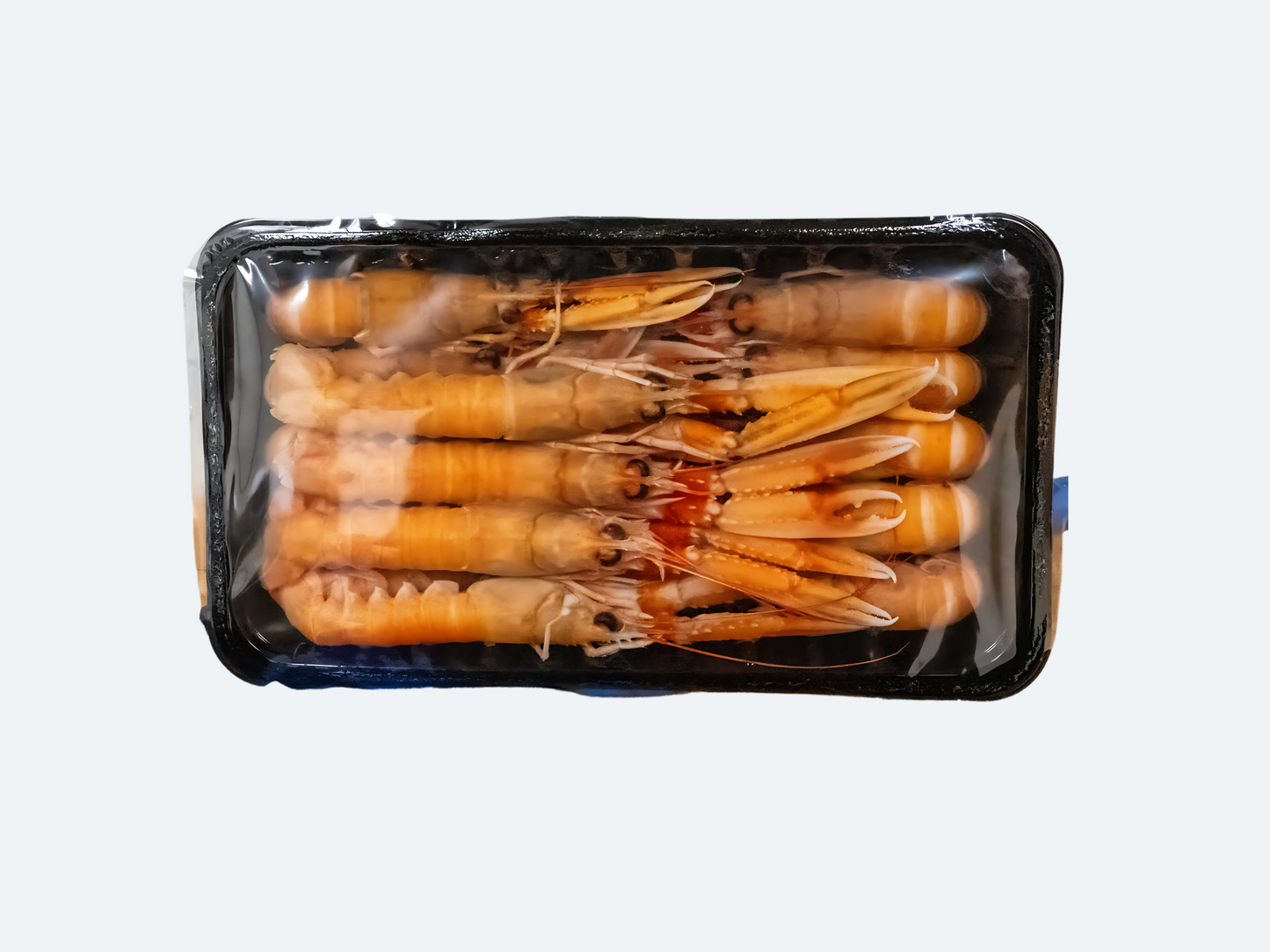 Norwegian Scampi (Langoustine)